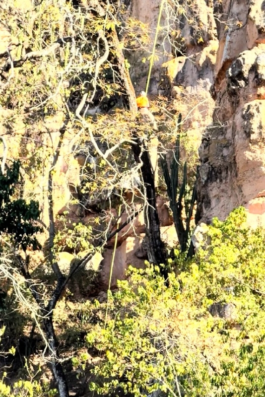 Video rapel-no-dedo-de-deus