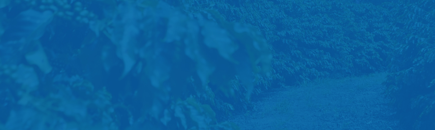 fundo galeria de fotos